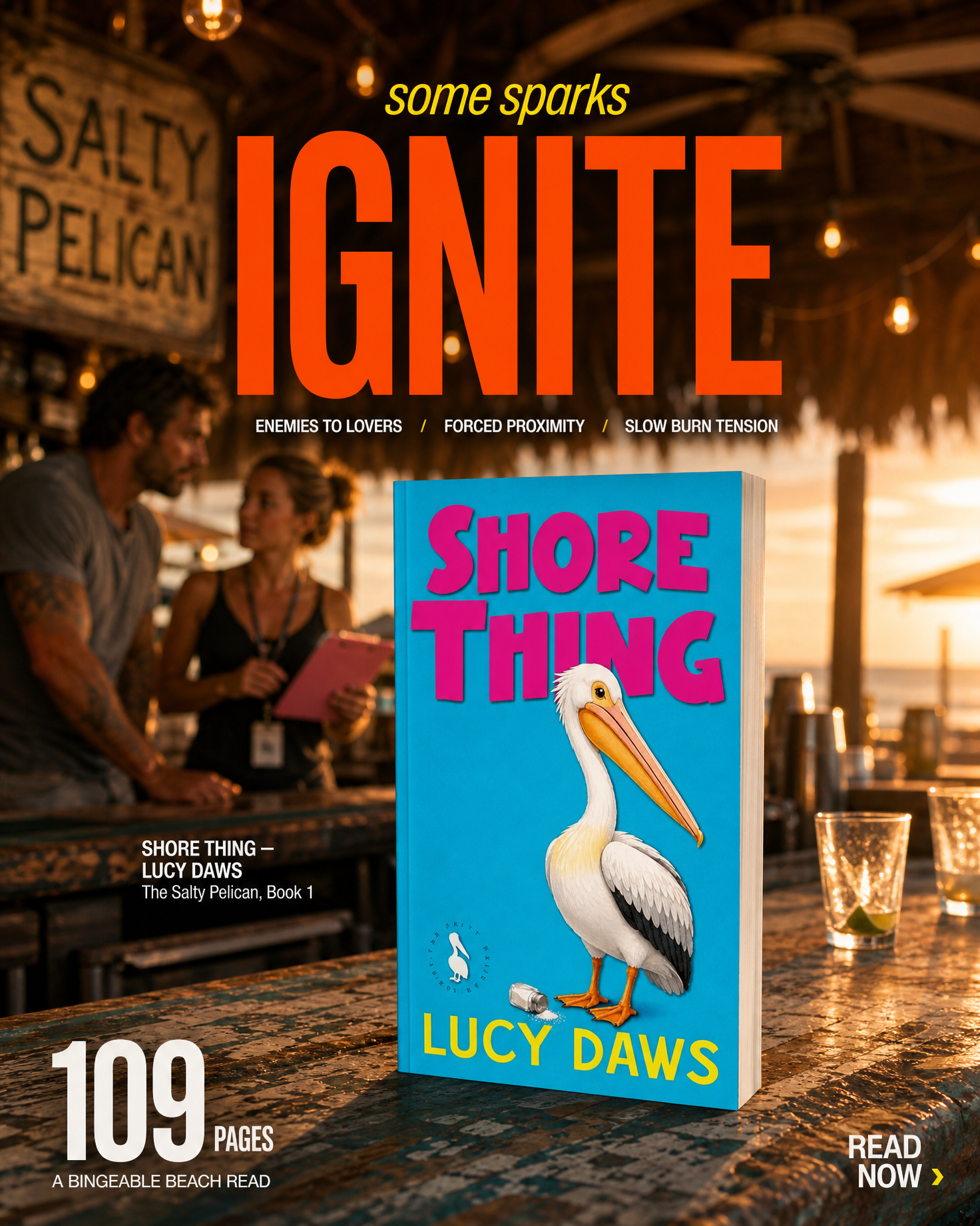 Cover staged inside a scene taken from the book itself